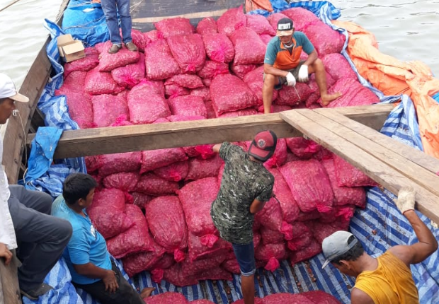 SaweuNews's tweet photo. Bea Cukai Gagalkan Penyelundupan 13 Ton Bawang Merah ke Aceh Tamiang https://t.co/5zQ7yl8hDd https://t.co/NomvaSXbnE