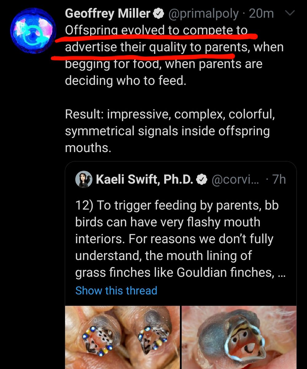 evopsychgoogle's tweet photo. step aside expert lady, i just solved that long-standing debate in ur field. simply by entering my mind palace https://t.co/RDi3s552Tk