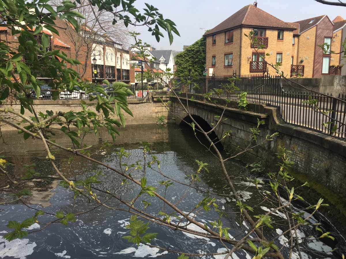 CVP_CraneValley's tweet photo. #covid19lockdown #virtualtour of Crane Valley river system. #bridgesunday. Low and high tide views of Mill Bridge, Isleworth, the final bridge over the Lower Duke of Northumberland's River before the Thames.
@LBofHounslow @LondonNPC @FriendsRivCrane
@swlen @OldIsleworth https://t.co/vfuBX9yLyR