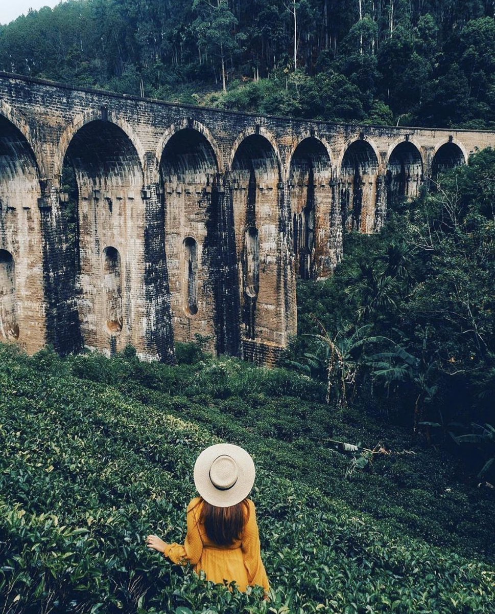 Ella, Sri Lanka 🇱🇰
#travel #travelgram #travelling #ella #ellasrilanka #beautiful #TravelBlog #srilanka