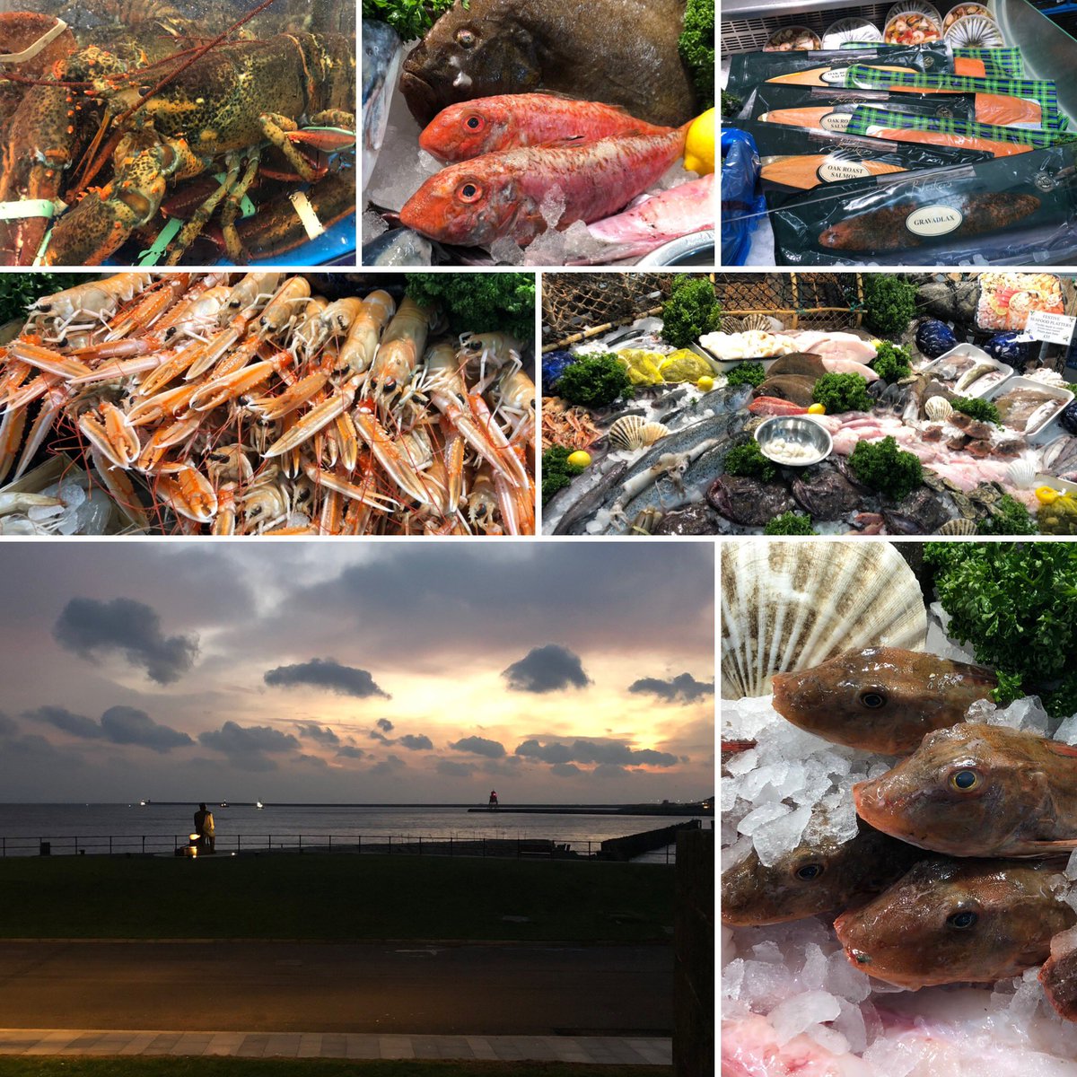 PhilsPlaice tweet media