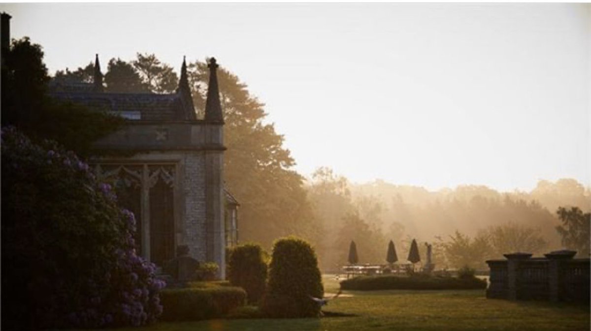 Sally RaithRiches tweet media