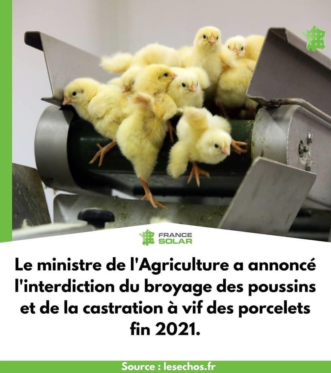 FranceSolar's tweet photo. #agriculture https://t.co/eXB6zJe7Oa