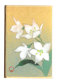 日本の誕生花 ５月３日の誕生花 憲法記念日 姫空木 ひめうつぎ 花言葉 清らかで美しい 山地の岩上などに生え 白い星形の花がすずなりに咲く様子は壮観 清潔感に溢れ 五月晴れでも五月雨でもよく似合う花 近年庭木としても好まれるように