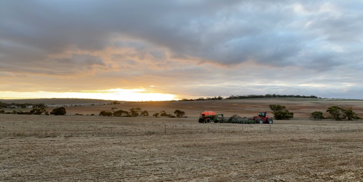 DegnerHarry's tweet photo. Not a bad view tonight #plant2020 https://t.co/2GgeRQ2dxL