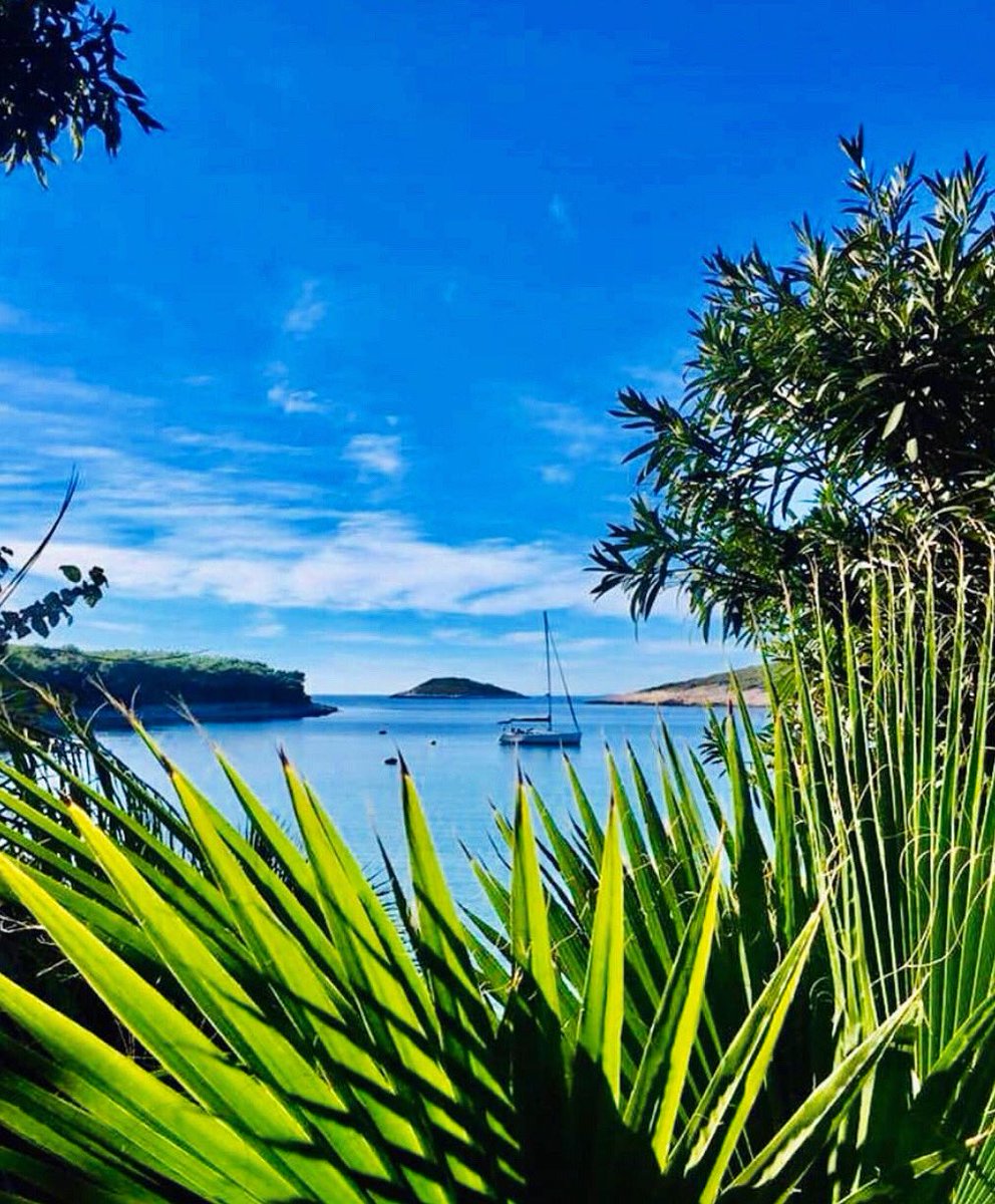 visithvar's tweet photo. Nature as it should be... Beautiful, clean, unspoiled... 🌍🥰
・・・
📍Palmižana, Paklinski islands by: @meneghellopalmizana
#dreamtoday #visittomorrow See you soon on the magical island of Hvar
・・・
#hvar #photooftheday #visitcroatia #VisitHVAR https://t.co/TOD3YPYr8x https://t.co/xoVyOroNcg