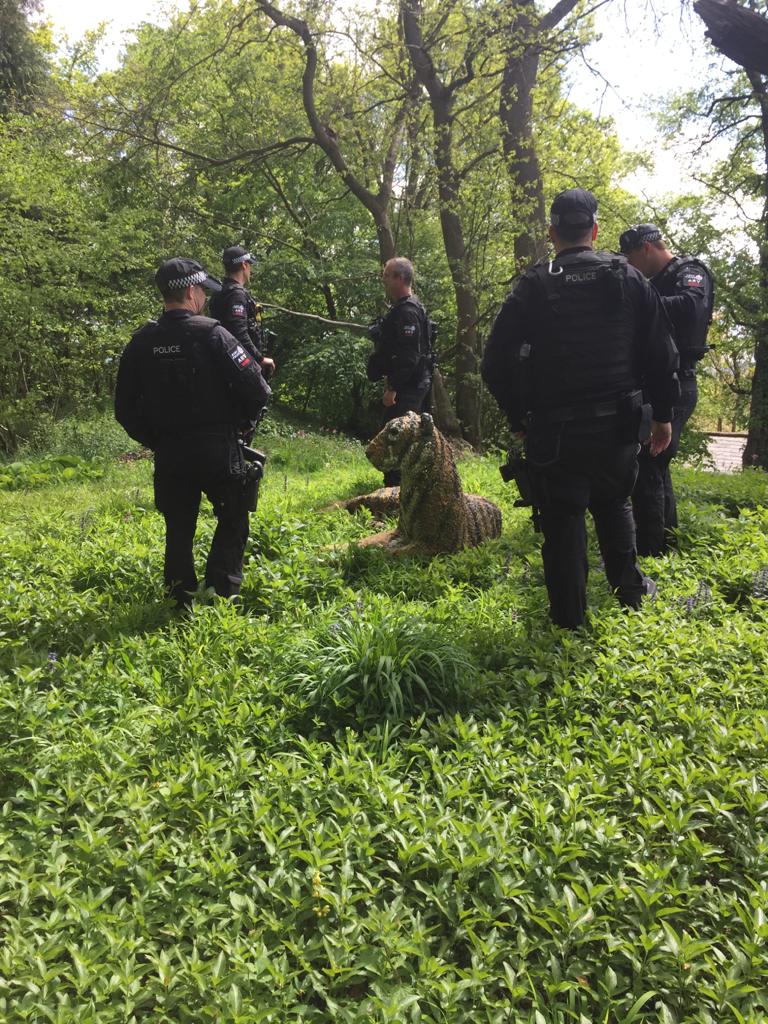 Phoebe Weston tweet media