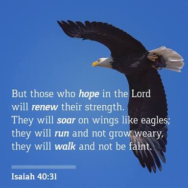 BarchokHillary's tweet photo. "But those who hope in the LORD will renew their strength. They will soar on wings like eagles; they will run and not grow weary, they will walk and not be faint." Isaiah 40:31

May Your Hope in the Lord endure forever.

Blessed Sunday. https://t.co/QzjmNp8EZ0
