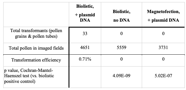 LaurensPauwels's tweet image. &quot;No evidence for transient transformation via pollen #magnetofection&quot;. The authors @jefowlerjr call  groups working in dicot species, particularly those cited
as successfully transformed (cotton, pepper, and pumpkin) to also provide their data. biorxiv.org/content/10.110…