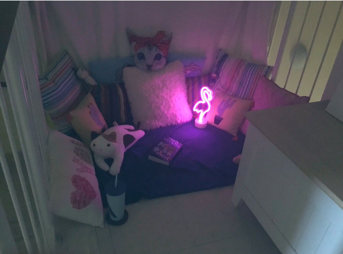 Year 5 | Dubai British School tweet media