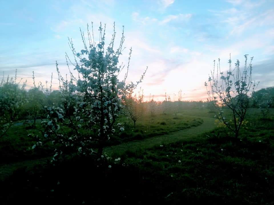 CabinteelyLife's tweet photo. Great photos of Cabinteely Park, thanks for sharing @MonikaFerris https://t.co/YeWxSbaXlV