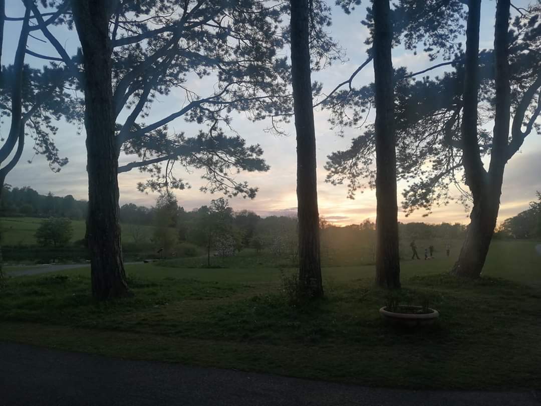 CabinteelyLife's tweet photo. Great photos of Cabinteely Park, thanks for sharing @MonikaFerris https://t.co/YeWxSbaXlV