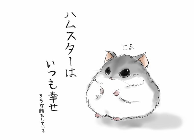 ジャンガリアンのtwitterイラスト検索結果 古い順 ジャンガリアンのtwitterイラスト検索結果 古い順