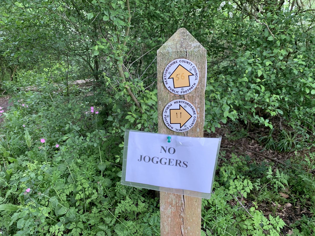 Spencer Millbery tweet media