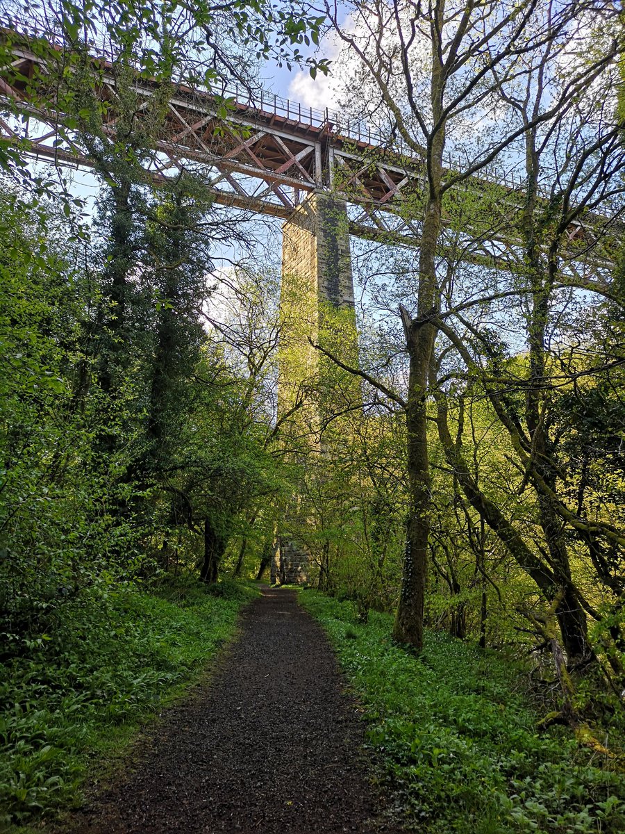 SMacGal's tweet photo. Wandering around Morgan Glen yesterday morning. Retracing my first visit to the glen with #CAVLP @PJMurtagh @gmacg_1 so glad to have this on my doorstep. Hopefully take a walk to the big house soon too. https://t.co/7mRZSk2YTT