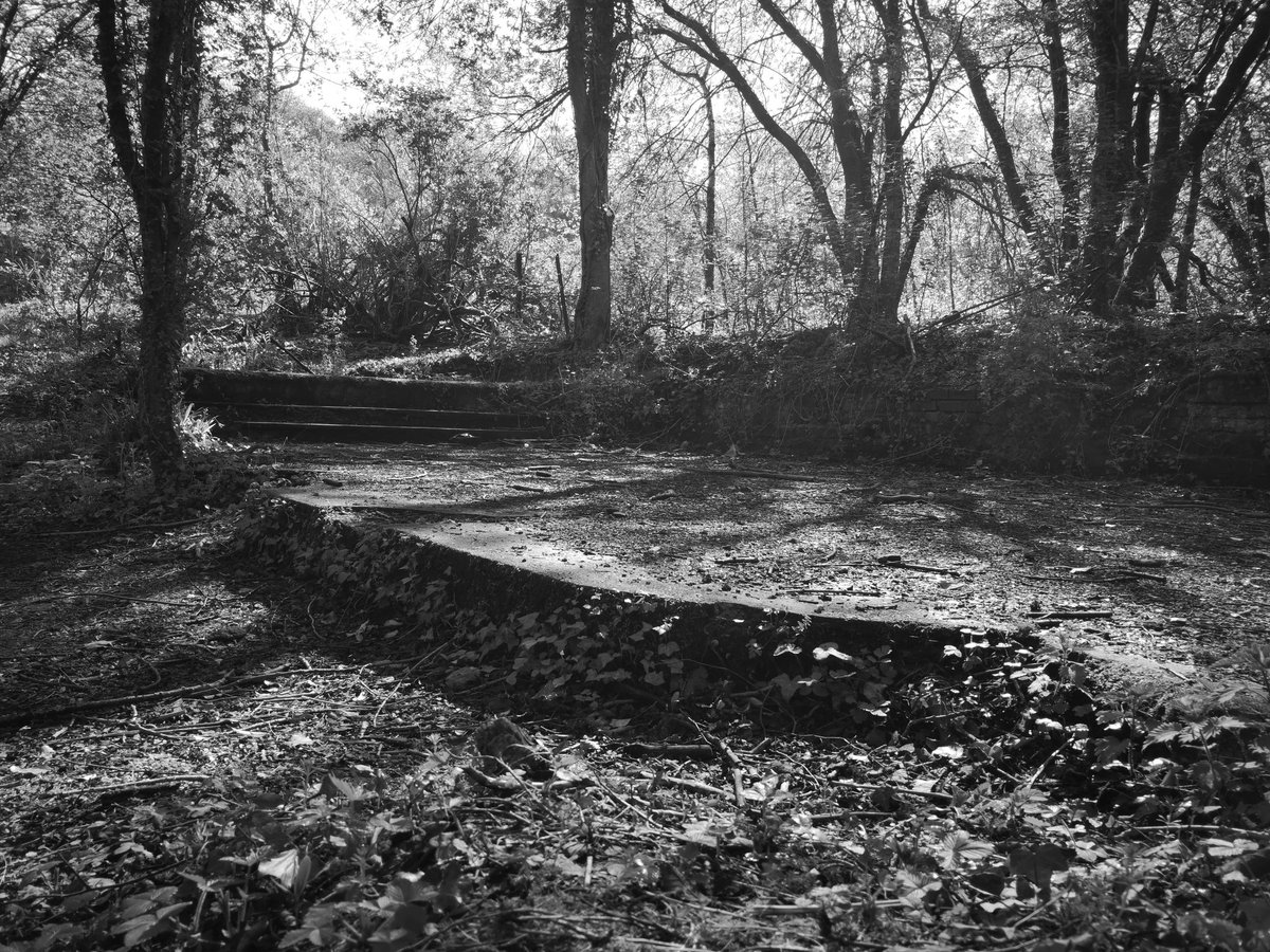 SMacGal's tweet photo. Wandering around Morgan Glen yesterday morning. Retracing my first visit to the glen with #CAVLP @PJMurtagh @gmacg_1 so glad to have this on my doorstep. Hopefully take a walk to the big house soon too. https://t.co/7mRZSk2YTT