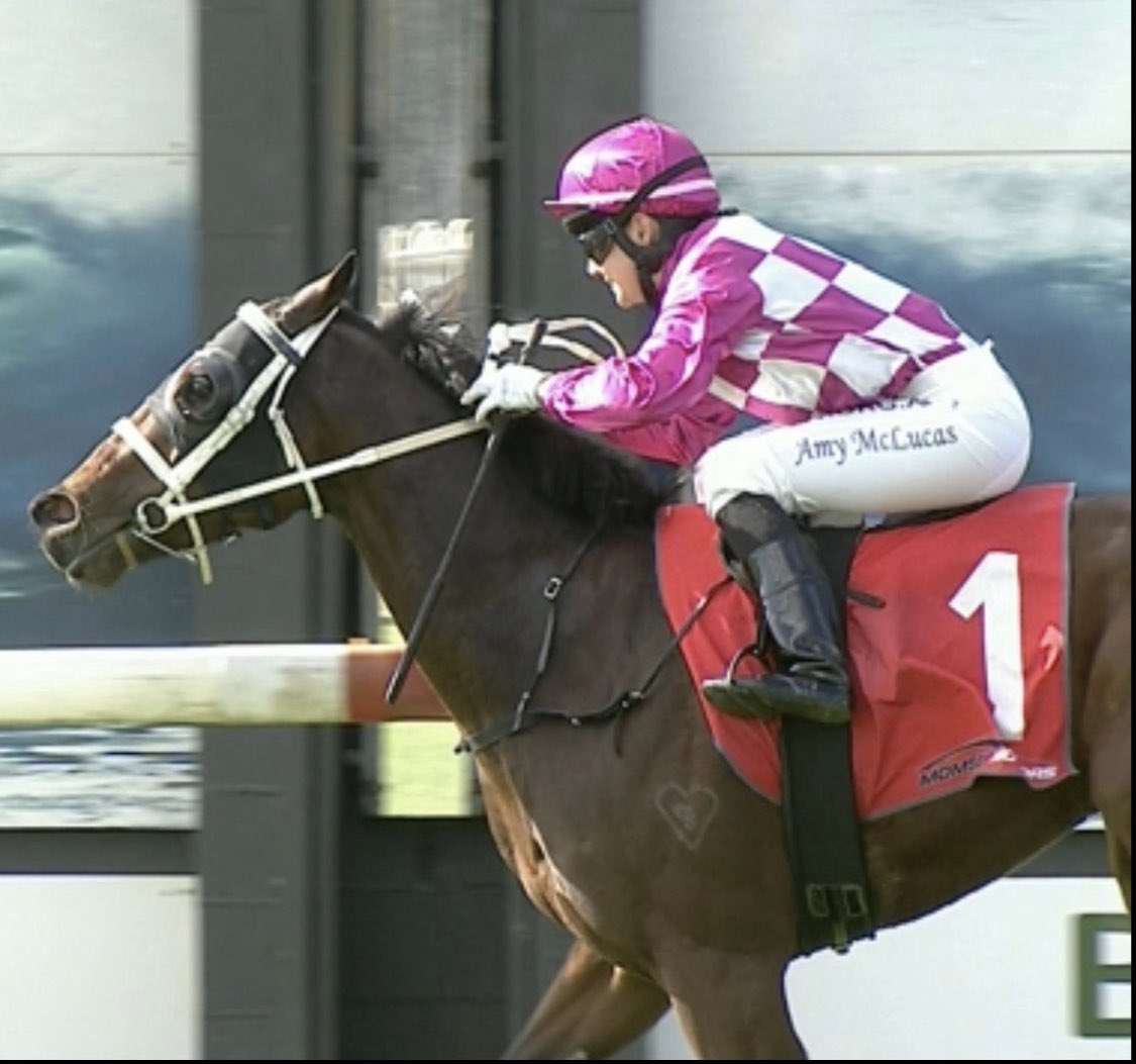 brisbanemeadow's tweet photo. #FullOfFire wins today @Sapphireturf congrats to the connections! Great job! @Twinstarracing1 @BloodstockG https://t.co/FXLjJ8YQws