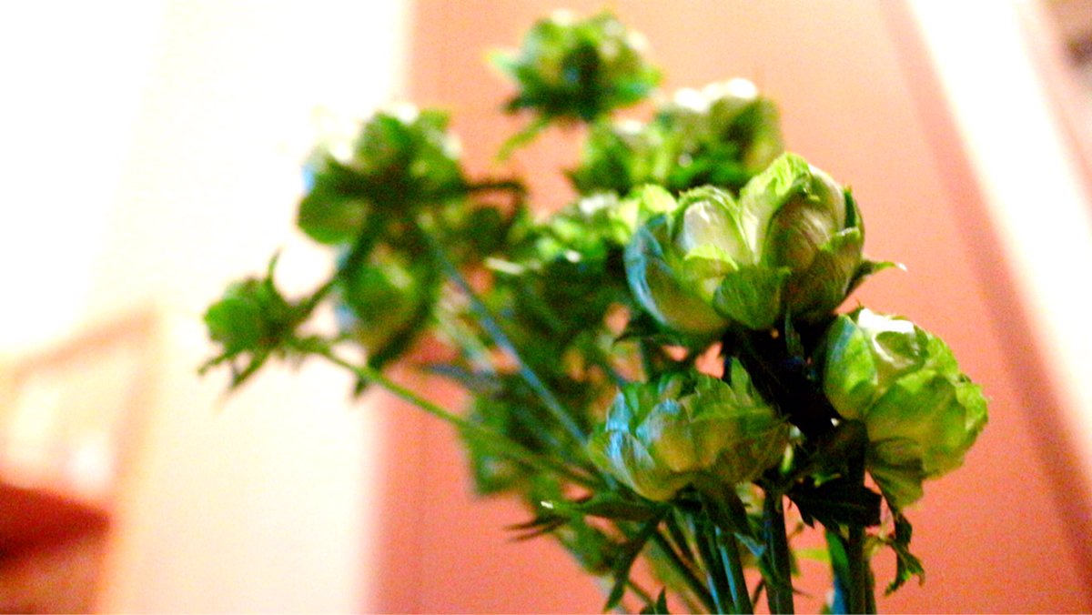 オリエンタルエクレール