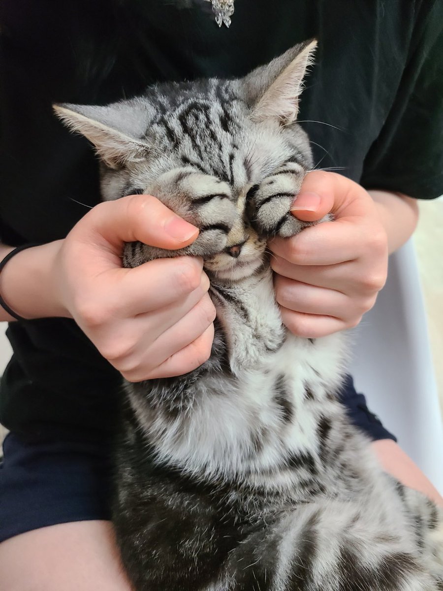 레오없따