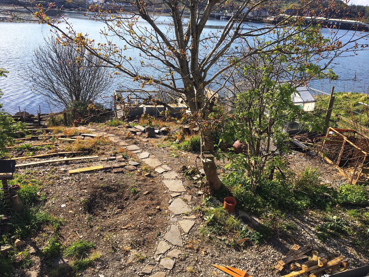 Looking out of our bathroom window and admiring the path we made yesterday. All still very much a work in progress (are gardens ever ‘finished’?) but this patch of land brings me so much joy.