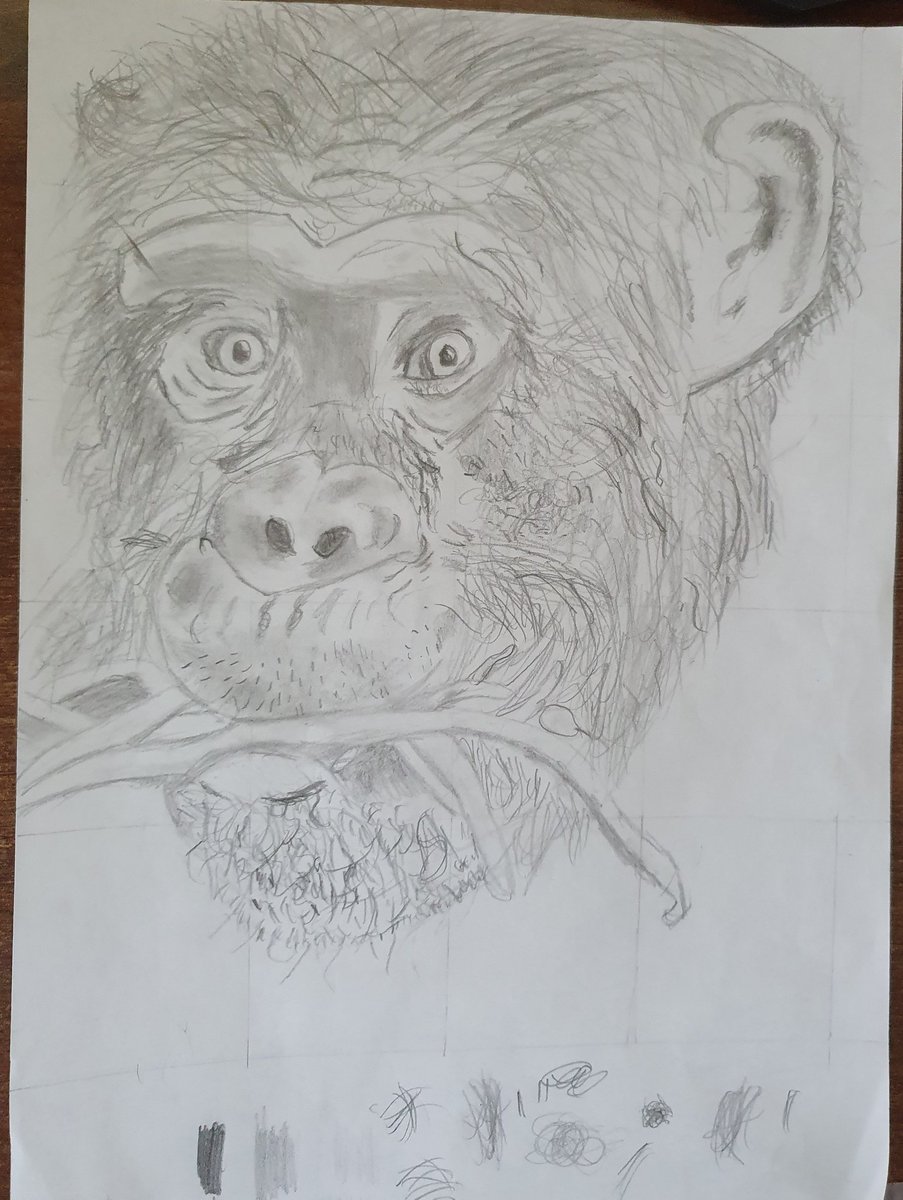 samcornishwall's tweet photo. @HMcAusland these are Archie's drawings he would like to submit ..Archie is trying very hard he really enjoyed your step by step video #thankyou #teachers @CastleMeadAcad https://t.co/9kIkNG01ri