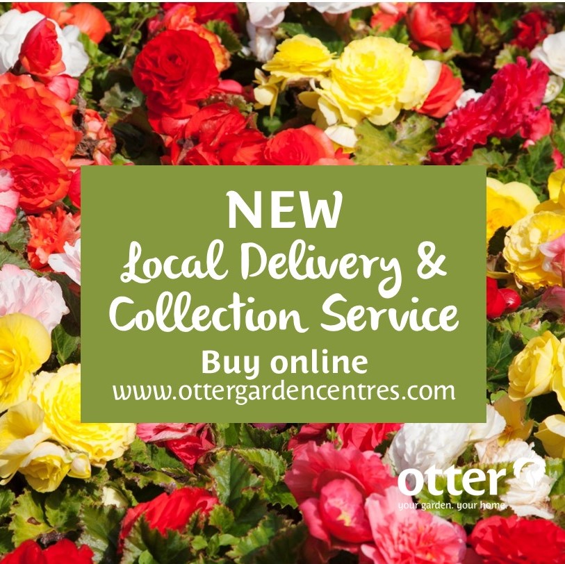 🌺🌼New! Local Delivery and Collection Service🌷🌺
We are now offering a range of plants and gardening essentials for purchase online. Happy Gardening from everyone at Otter!
For full information please click this link:
ow.ly/avbh50zuVik