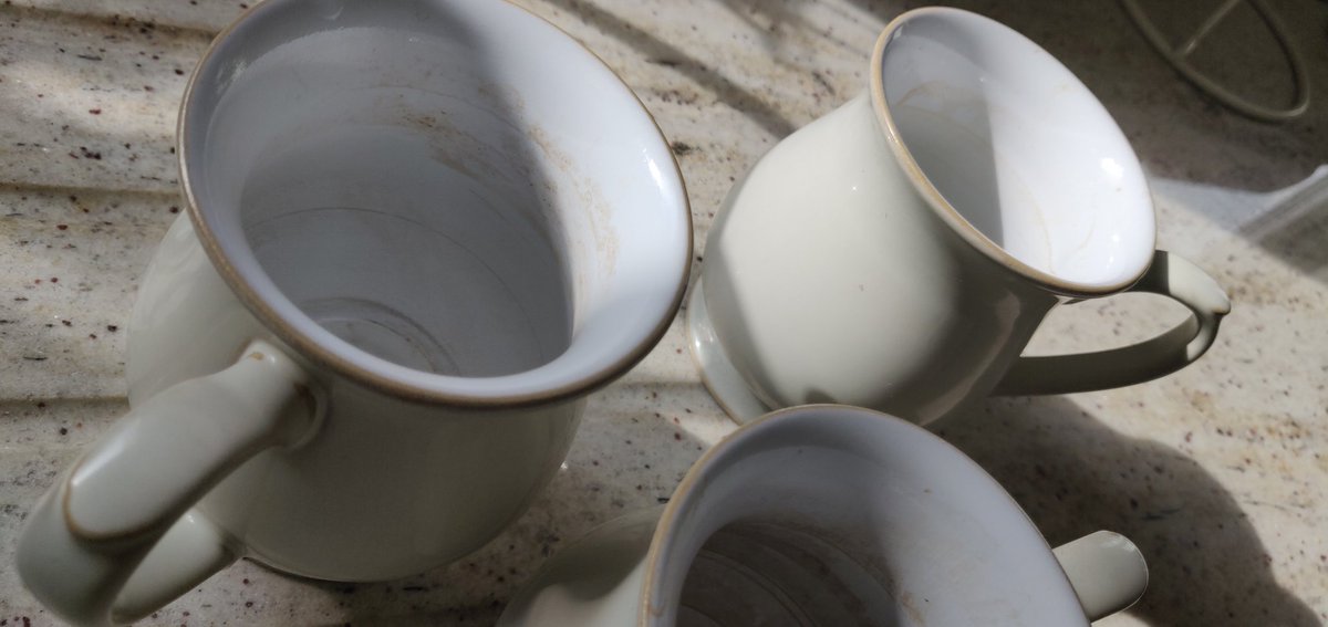 Tracey Jayne tweet media