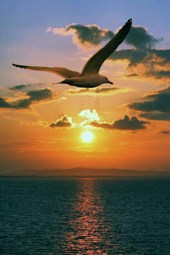 wow plants tweet media