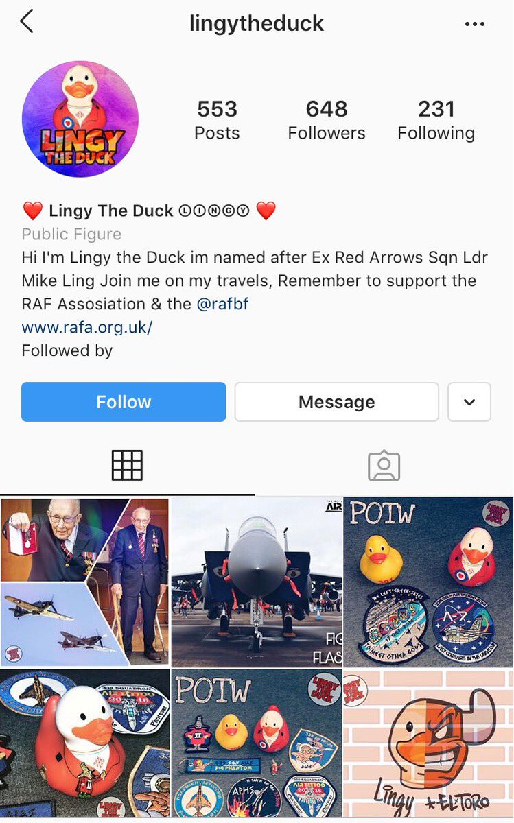 LingytheDuck's tweet photo. QUACK QUACK! don’t forget to follow my Instagram everybody! @LingyTheDuck https://t.co/QzaqIUBbZ8
