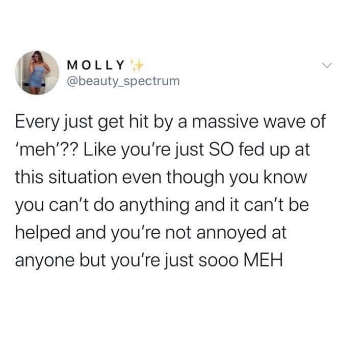 Rosa Lynn (@rozzrod_88) on Twitter photo 