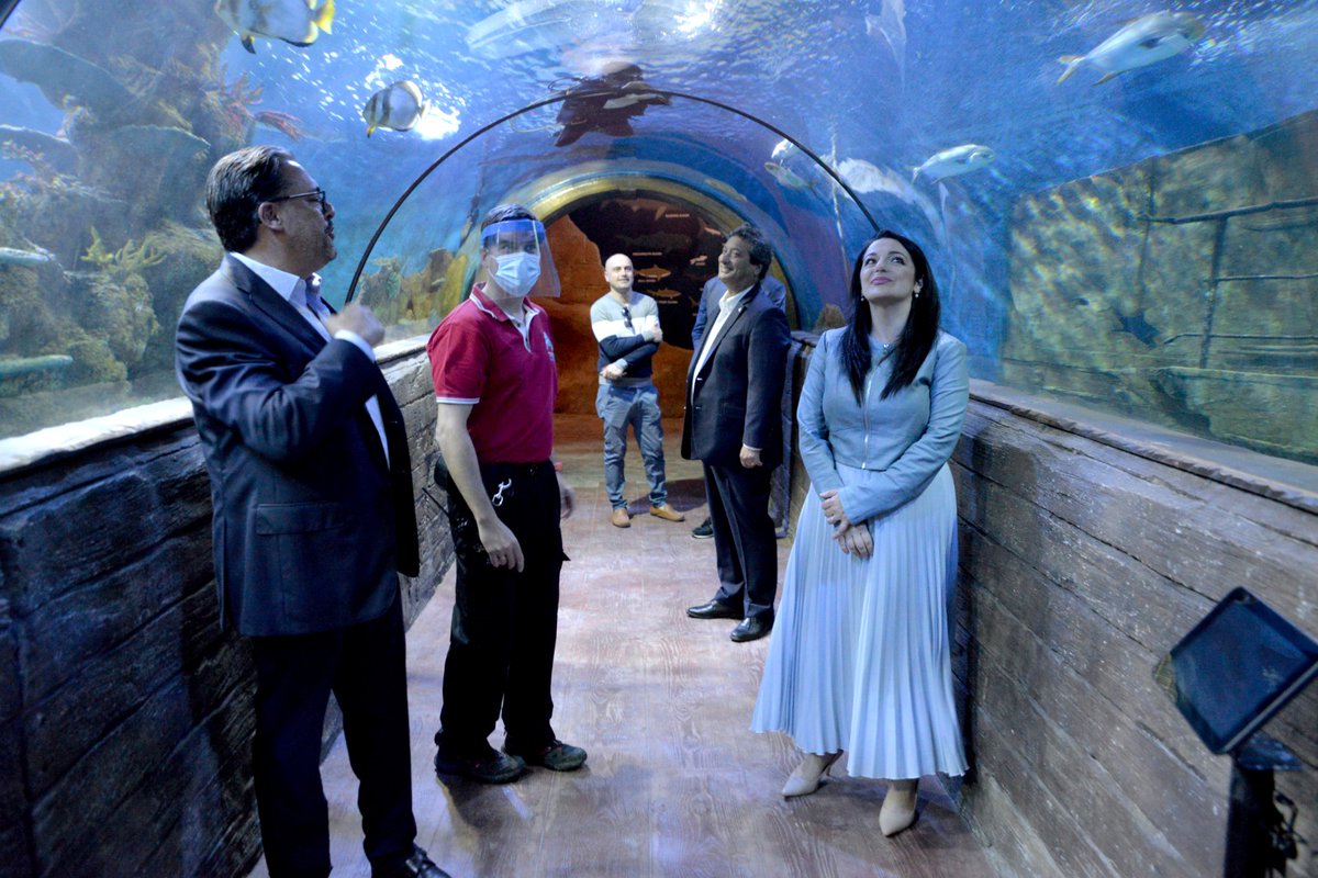 JuliaFarrugia's tweet photo. Over €600,000 investment at the #Malta National Aquarium during #Covid 19. Prepping up for an enriching experience of one of the most frequented sites by #tourist families and locals @MaltaGov @VisitMalta @GuliaGavin https://t.co/A32JUxHG0I