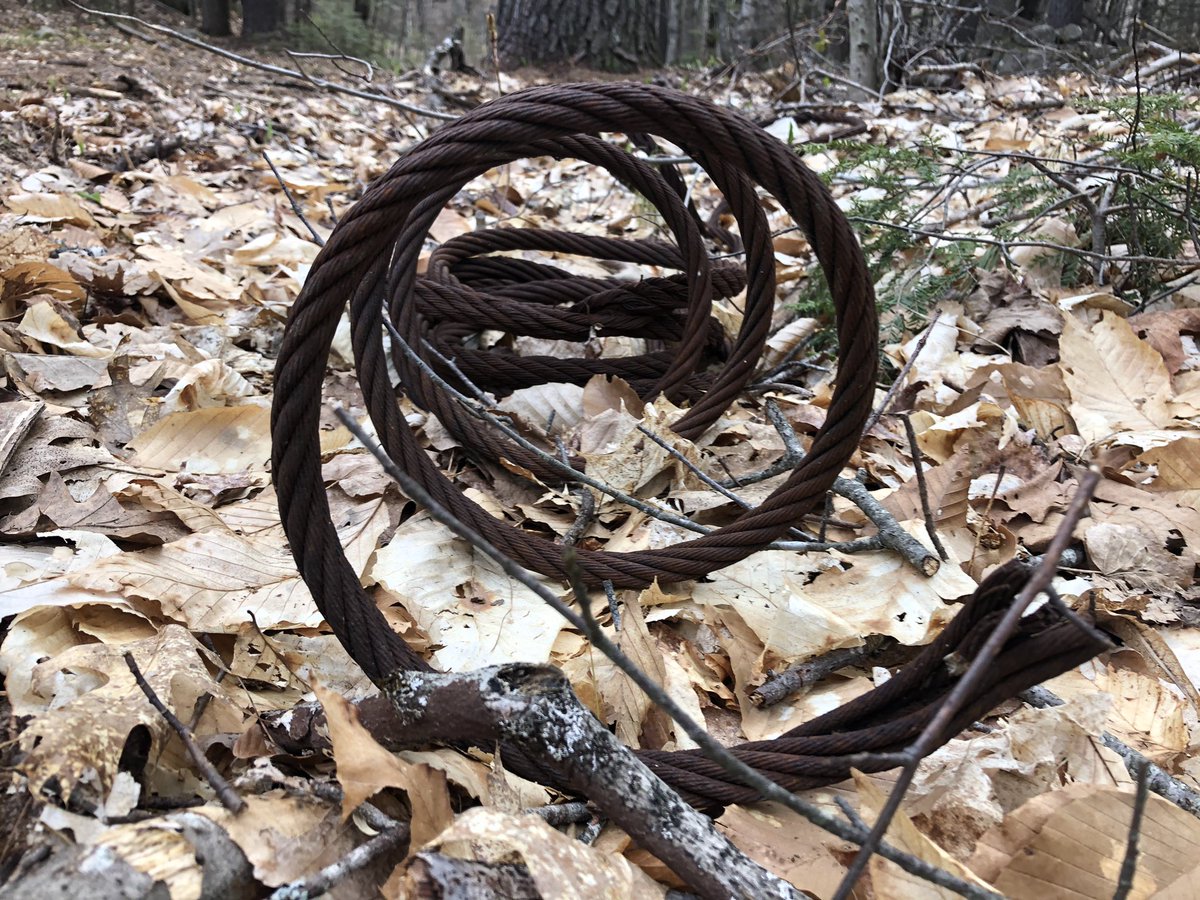 Jody Robbins (@jodyrobbins) on Twitter photo 