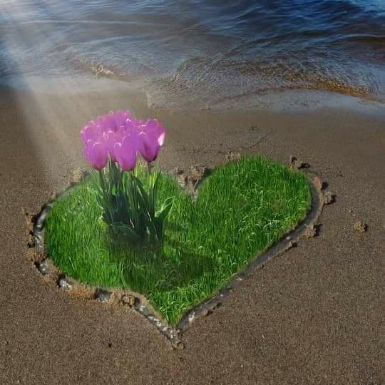 ڤینۆس tweet media