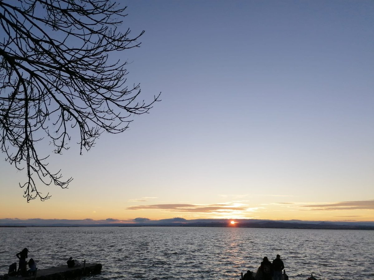 dalacor27's tweet image. 