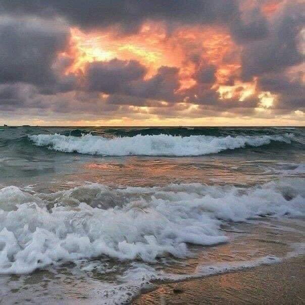 dalacor27's tweet image. Atardeceres 💫