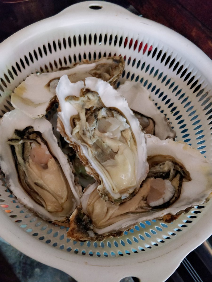 vance0714's tweet photo. 还有生蚝😂中国的生蚝不建议生吃！ 但烤熟了我还是觉得有点软趴趴的 不是我的菜！ https://t.co/ZHR410FDS5