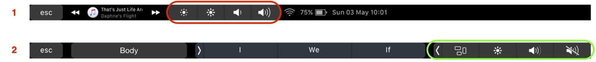 jameskfrench's tweet photo. @pigigaldi I really like Pock, thanks! However, it keeps quitting when my Macbook Pro is asleep. I'm on 10.15.4. Is it possible to add the green section in the attachment to Touch Bar 1 and so then delete the Red section? https://t.co/04mPAlTsNn