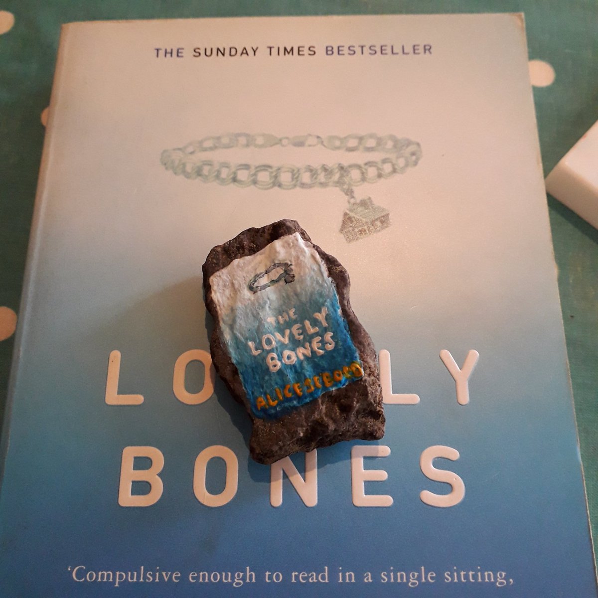 The Lovely Bones by Alice Sebold, on a rock
