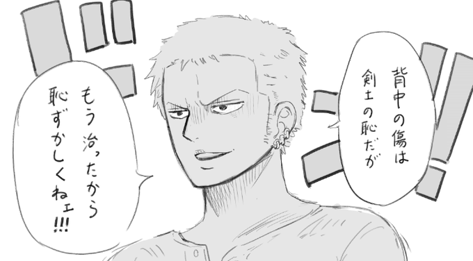 嫌すぎるゾロ 