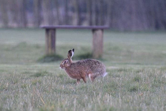 ScarthingwellGC tweet media