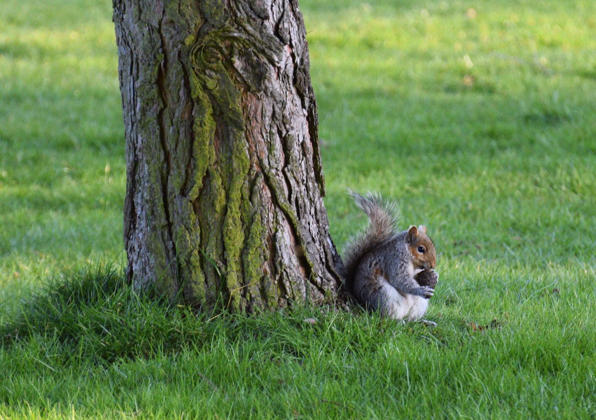 ScarthingwellGC tweet media