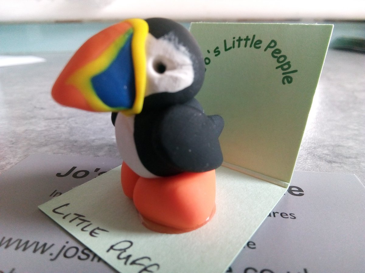 s4r4h_l's tweet photo. @SteelySeabirder Rally the troops! Come on Puffin-loversπ Get your votes in, we're off! #VotePuffin #SeabirdWC2020 https://t.co/ie9n2Sastf