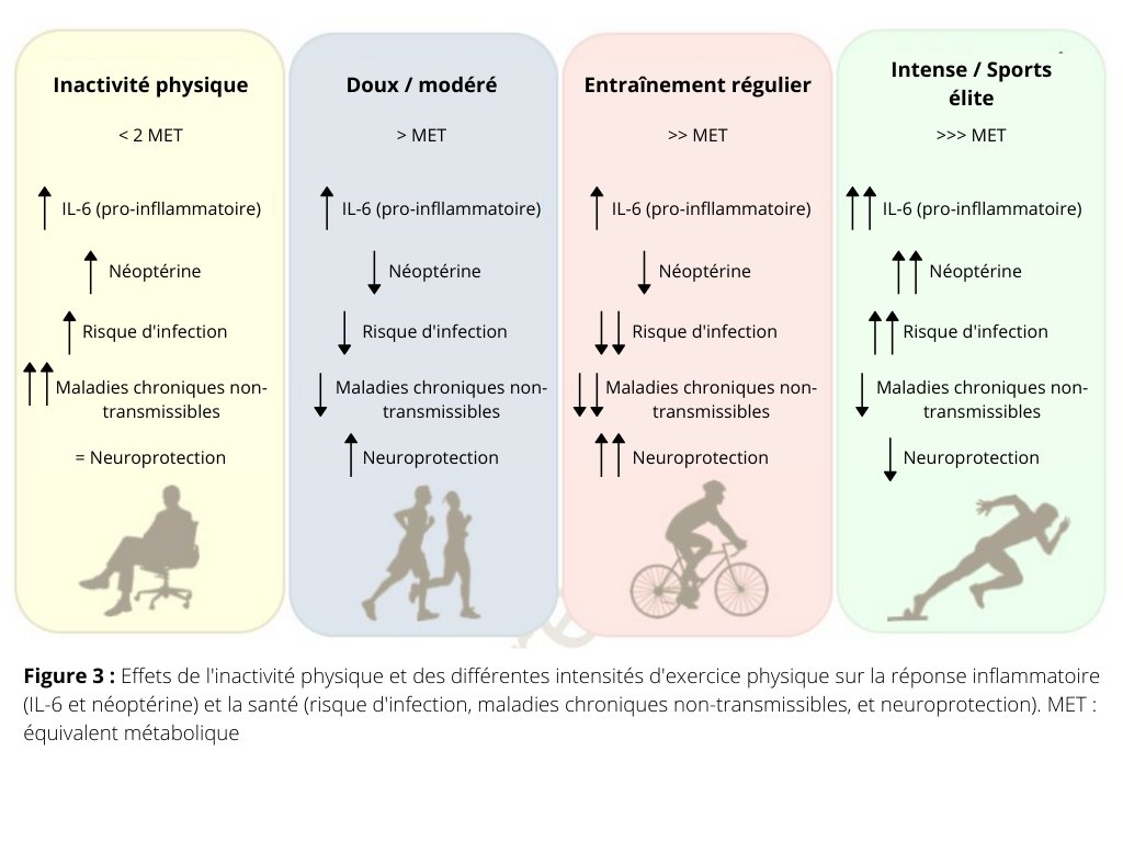 Réponse du système immunitaire induite par l'exercice: statut anti-inflammatoire sur les organes périphériques et centraux

<a href="/PhysioMeScience/">Physio Meets Science</a>

ncbi.nlm.nih.gov/pmc/articles/P…