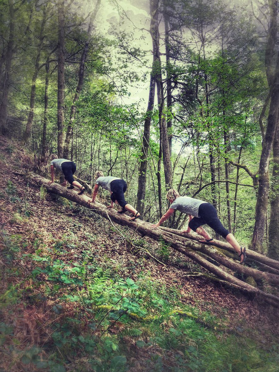 blurred_edge_'s tweet photo. You use your whole body like you did when you played as a kid. Grown up amusements don’t allow for crawling &amp; wriggling, getting good &amp; muddy, &amp; tearing the knees of your pants #TheRope #NevadaBarr #MoveHappy #HappyPlace #CaptureMovement #CelebrateMovement #MovNat https://t.co/8Ki3dLFuUy