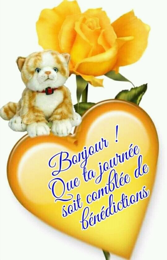 MoyenO's tweet photo. https://t.co/9o4dQnKeEz