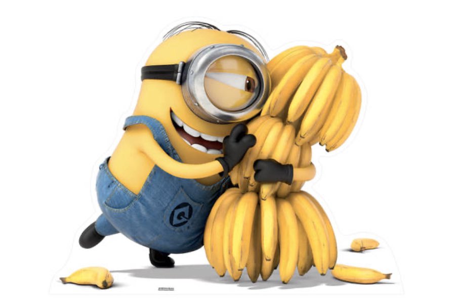 SophiaRoediger's tweet photo. Team #banana minions aka #run711 geht an den Start vom #wingsforlifeworldrun 

für alle die, die nicht laufen können. 

Spendet für die km euerer Lieblingsläufer:innen 

➡️ https://t.co/lUUxPrCqjr https://t.co/Sr7ifGCfqq