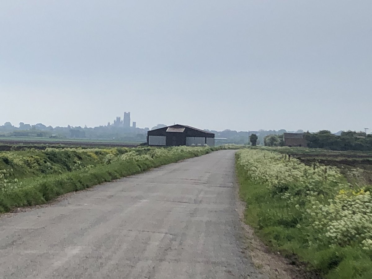 traceymac22's tweet photo. Peaceful 5k run this morning https://t.co/RjoKo27K6B