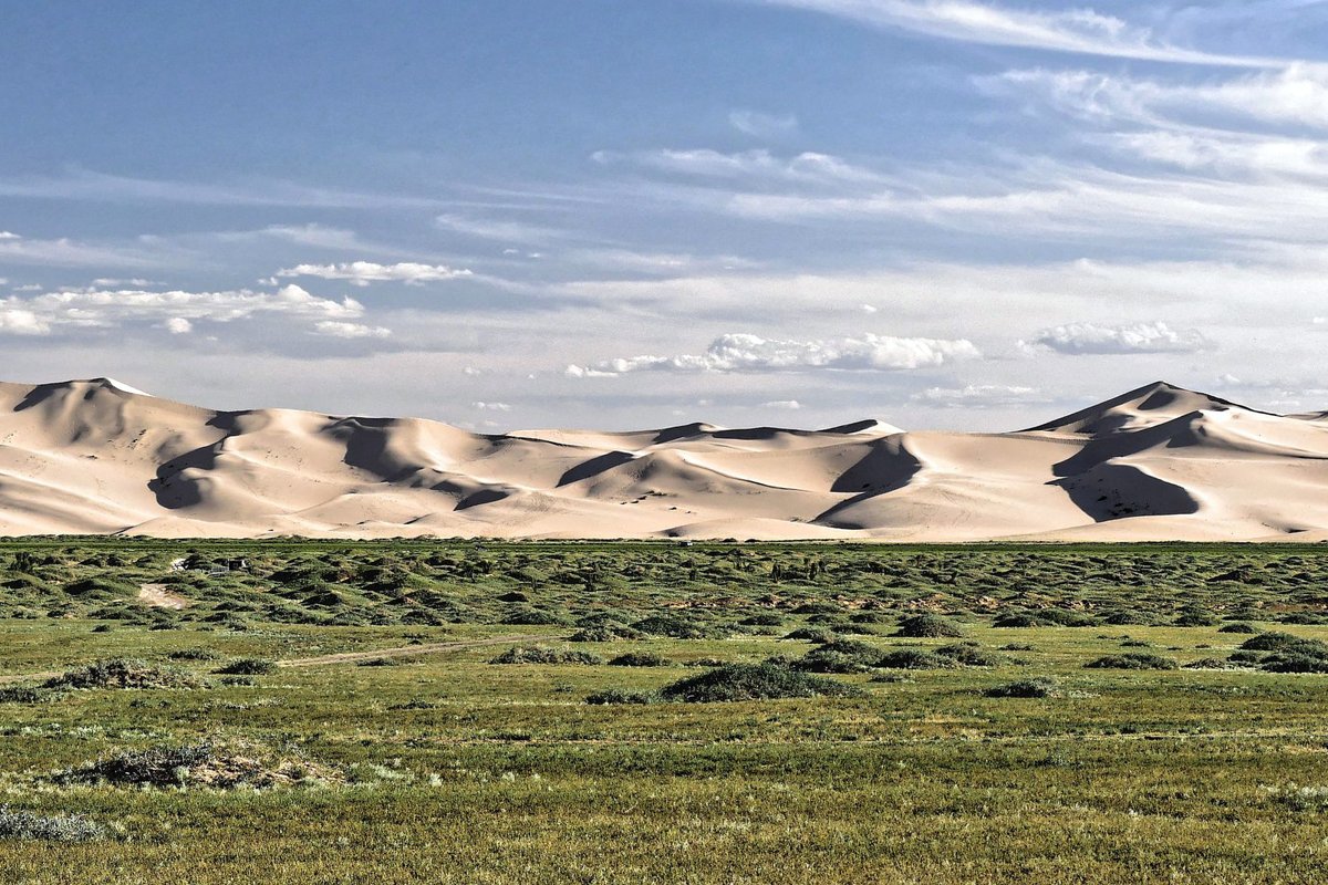 BlogTrotting's tweet photo. Les dunes de Khongor, dans le Parc national de Gobi (Mongolie). + de photos : https://t.co/cpBaLLEhts #Mongolie #Khongor #Gobi #dunes #instatravel #sand #desert #mongolia  #travel #wanderlust #photooftheday #travelawesome #thegreatoutdoors #travelblog #adventure #view  #outdoors https://t.co/SeTdQN7kQY