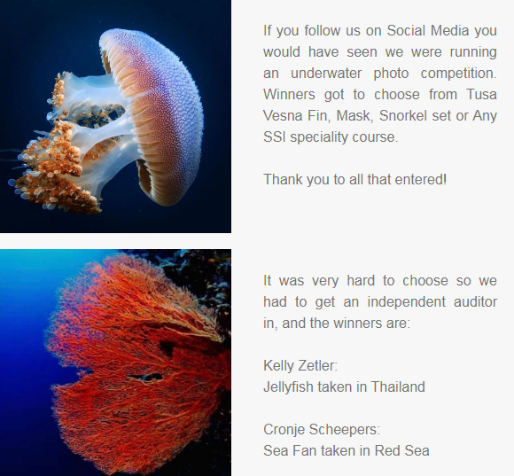 Alpha Dive Centre tweet media