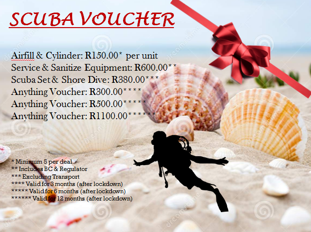 Alpha Dive Centre tweet media